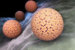 Study Suggests HPV Test More Accurate Than Pap Smear for Cervical Cancer Screening