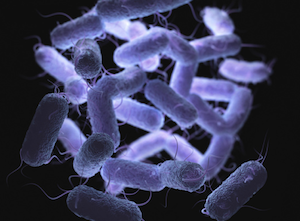 Tackling Antibiotic Prescribers' Behaviors for Respiratory Infections at the VA