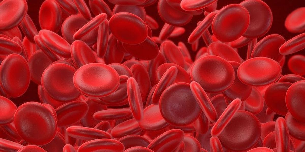image of red blood cells