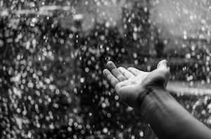 Rain and Pain Not Related, Harvard Researchers Say