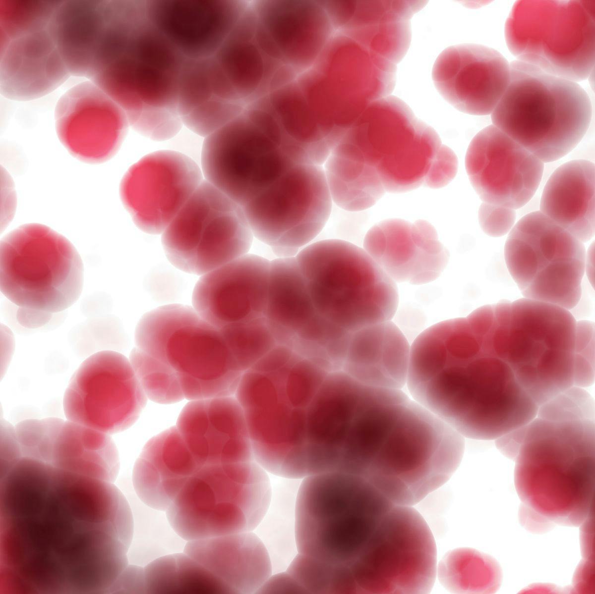 Picture of red cells