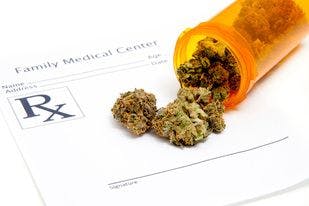 Cannabis Risks and Benefits in Cancer Symptom Management: Much Remains Unknown