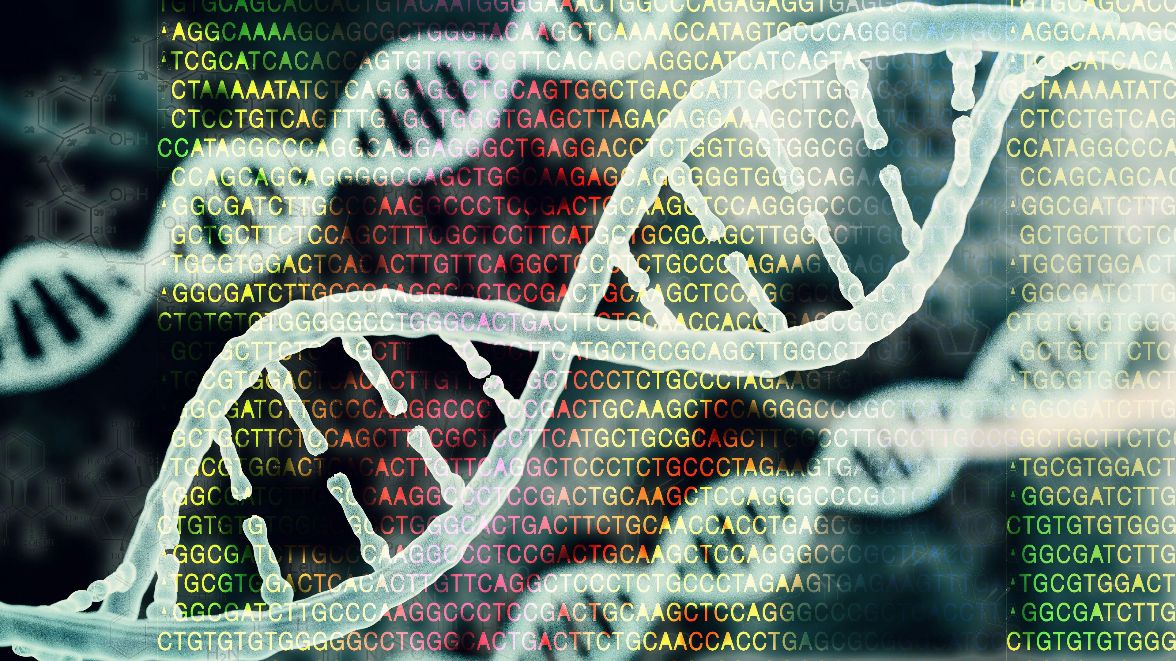 Genome Sequencing Model | image credit: catalin - stock.adobe.com