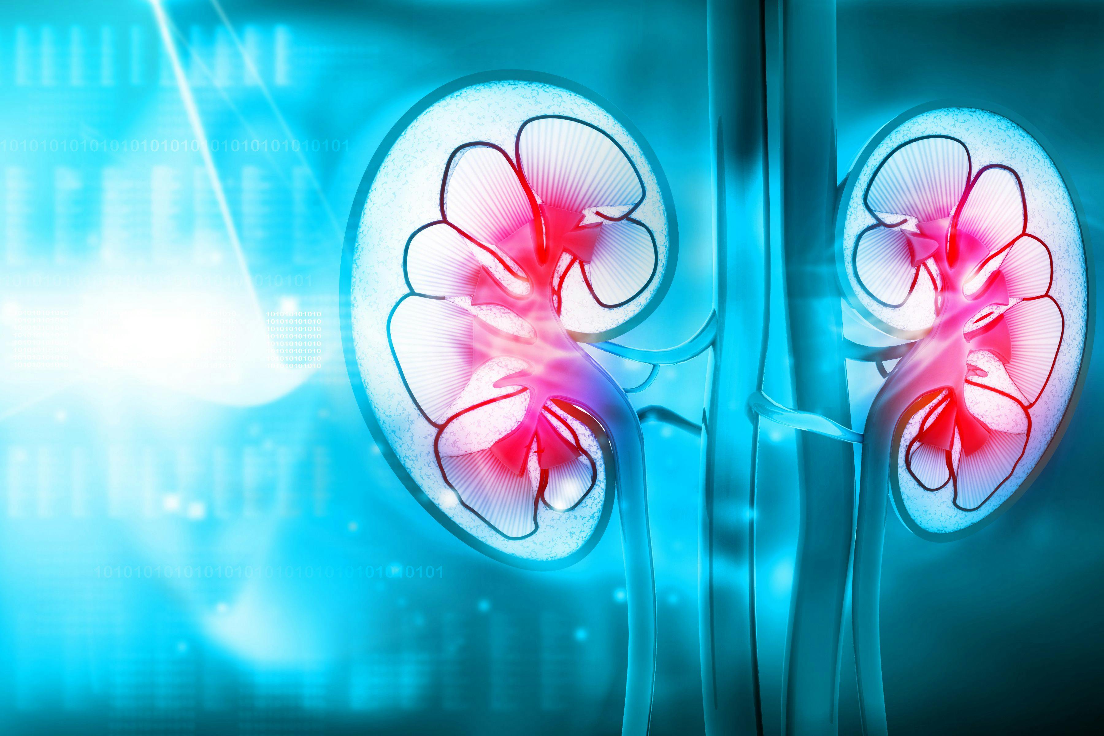 Kidney transplants in patients with Fabry disease has a high success rate