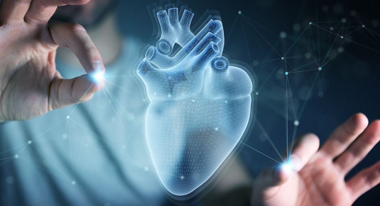 Man using digital x-ray of human heart holographic scan projection 3D rendering: © sdecoret - stock.adobe.com