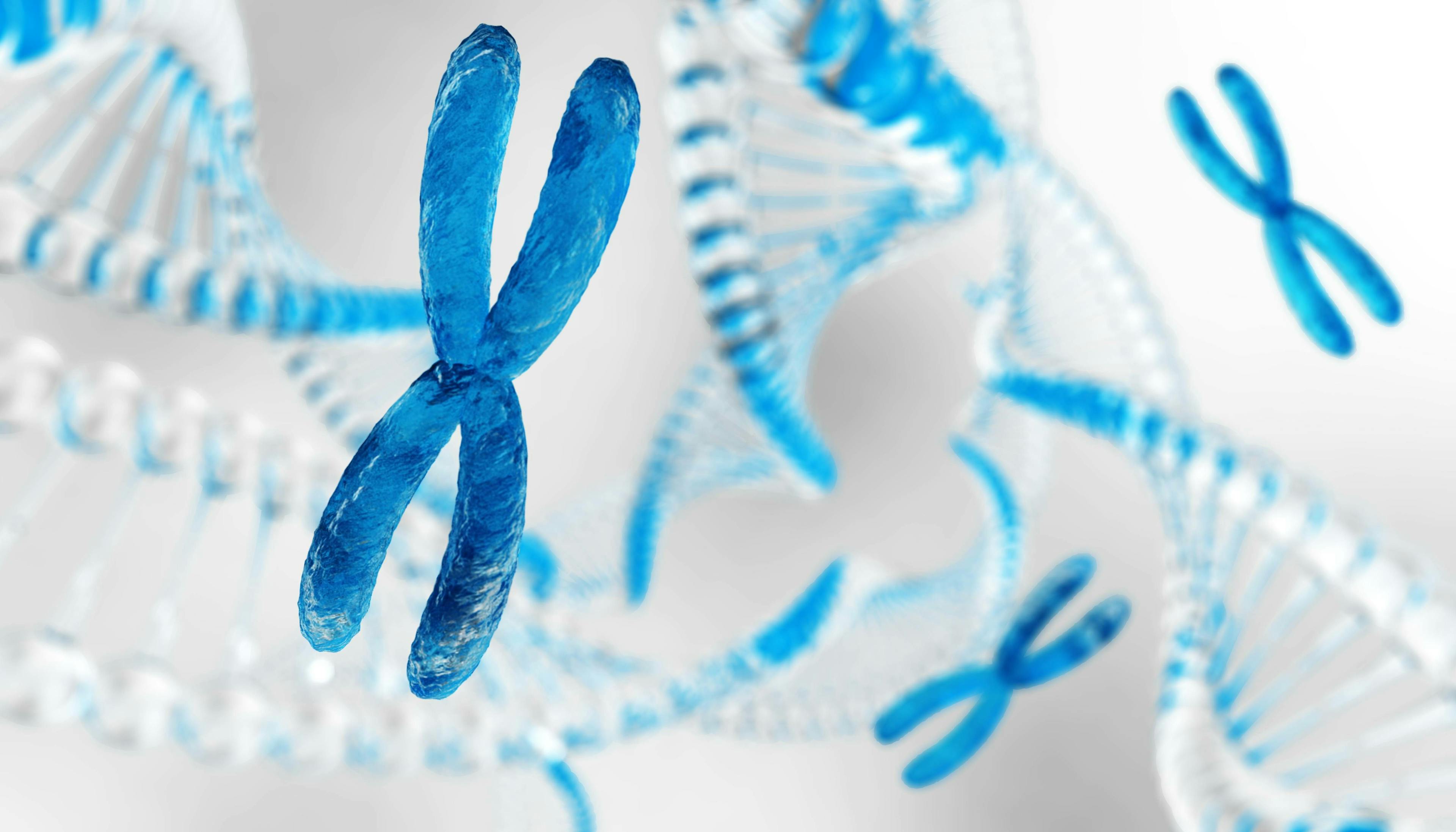 X Chromosome | Image credit: ustas - stock.adobe.com