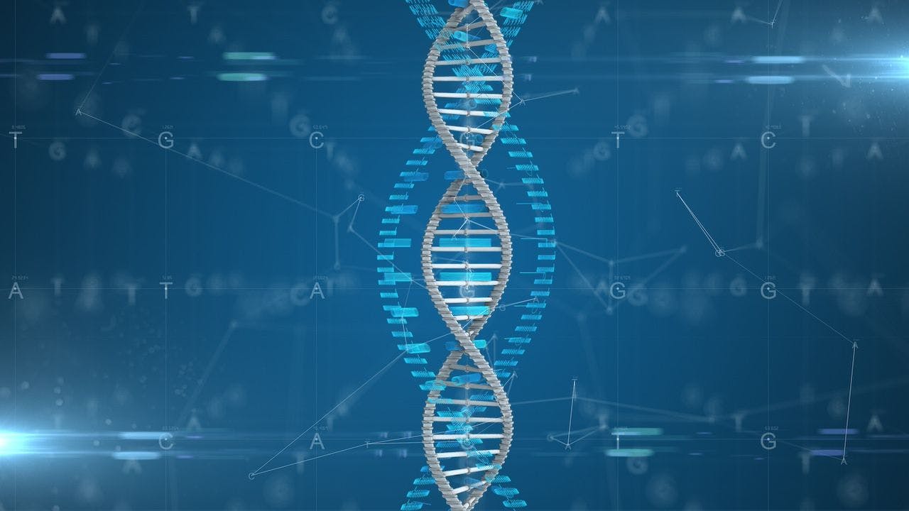 Molecular engineering of DNA for Gene therapy | Image credit: immimagery-stock.adobe.com