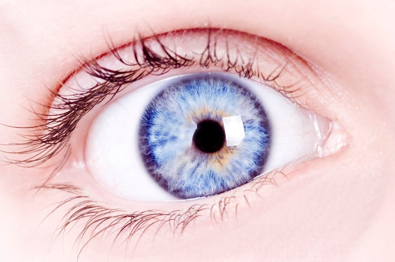 Eye Movements May Indicate Decisions Prior to Physical Motion