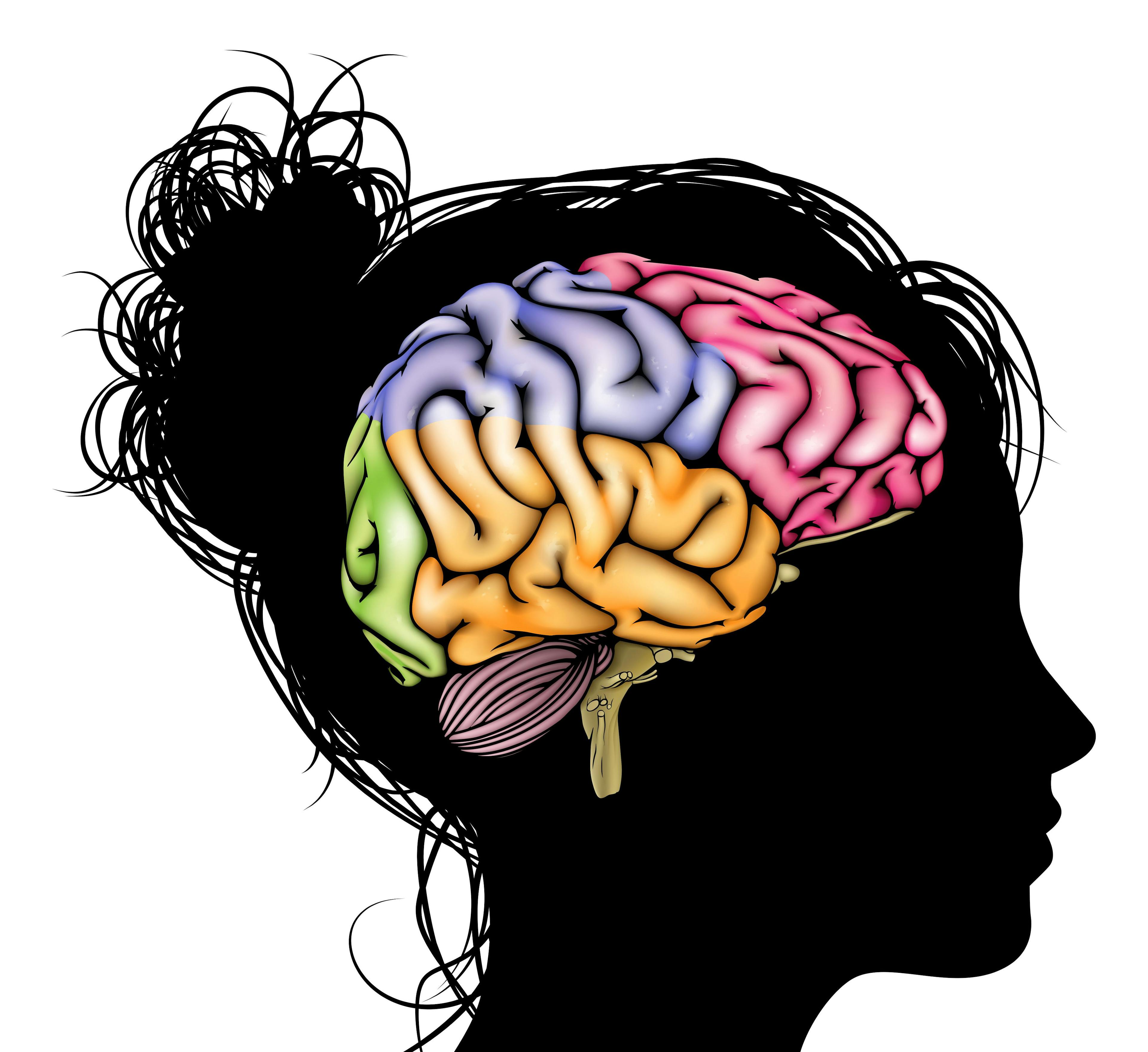 silhouette of woman's face highlighting brain