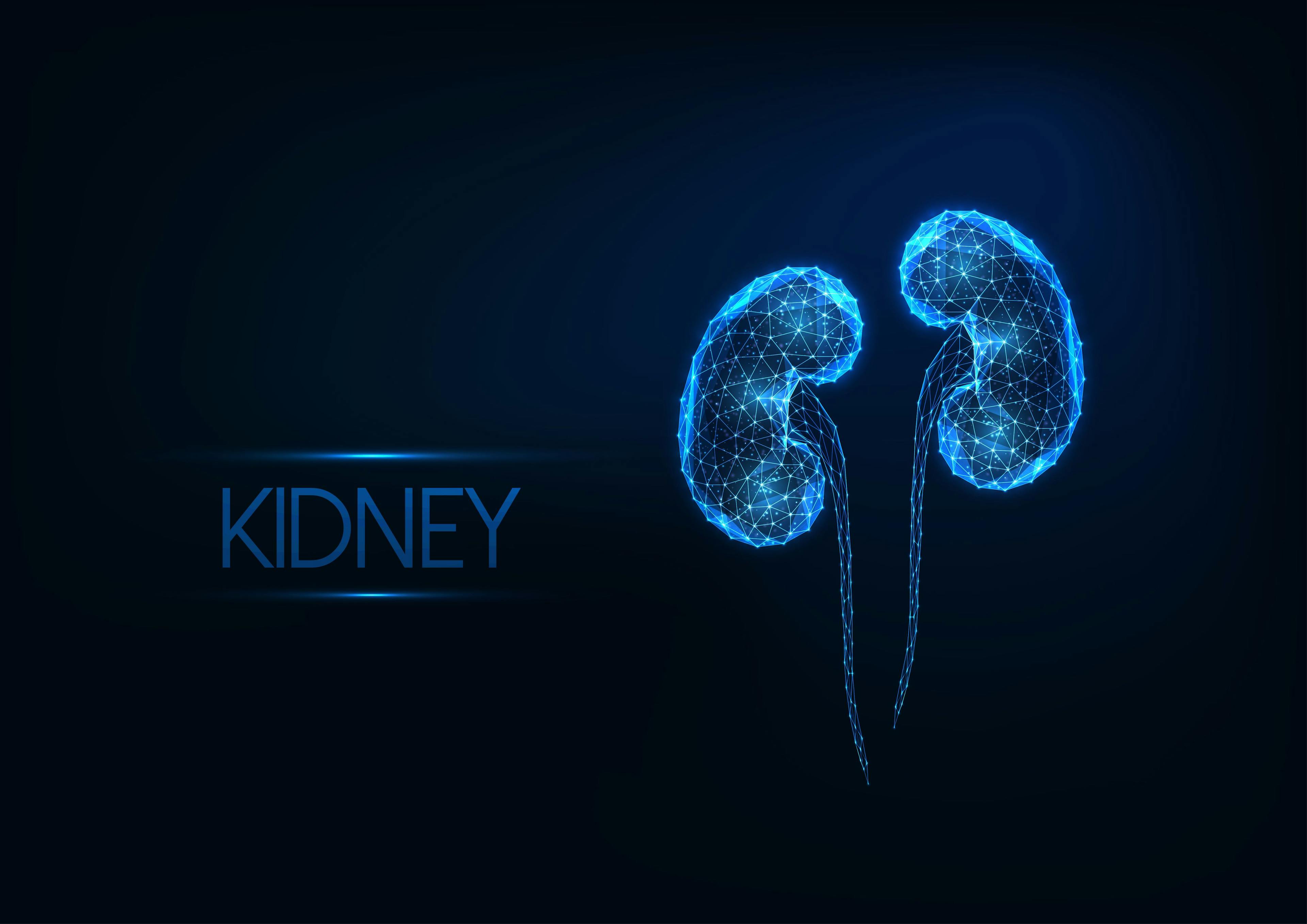 Kidney Concept Blue | image credit: Inna - stock.adobe.com