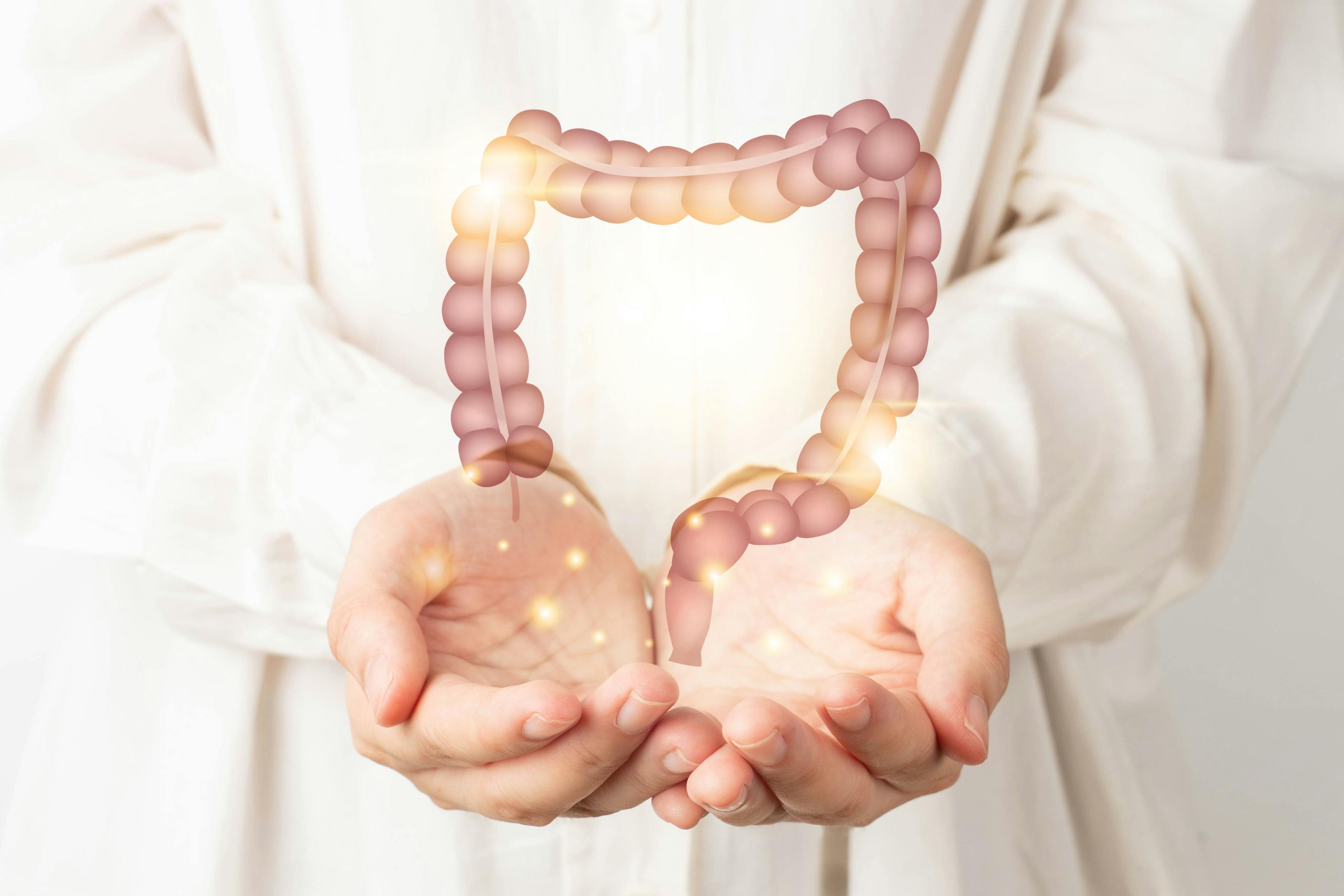 Large intestine in doctor's hands | Image credit: Orawan - stock.adobe.com