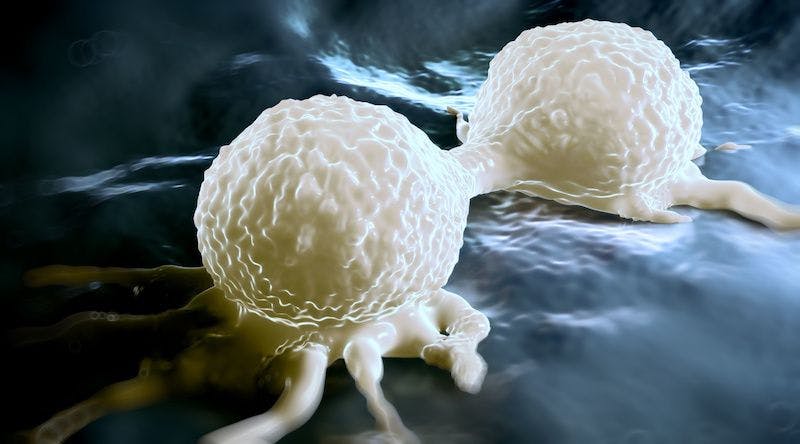 cancer cells 