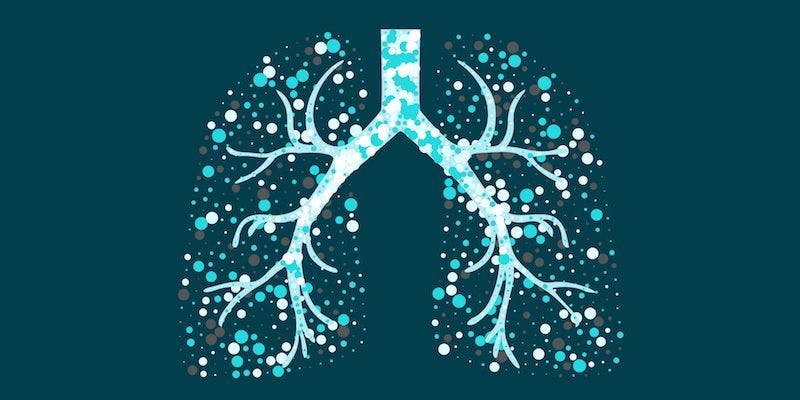 Lungs artwork