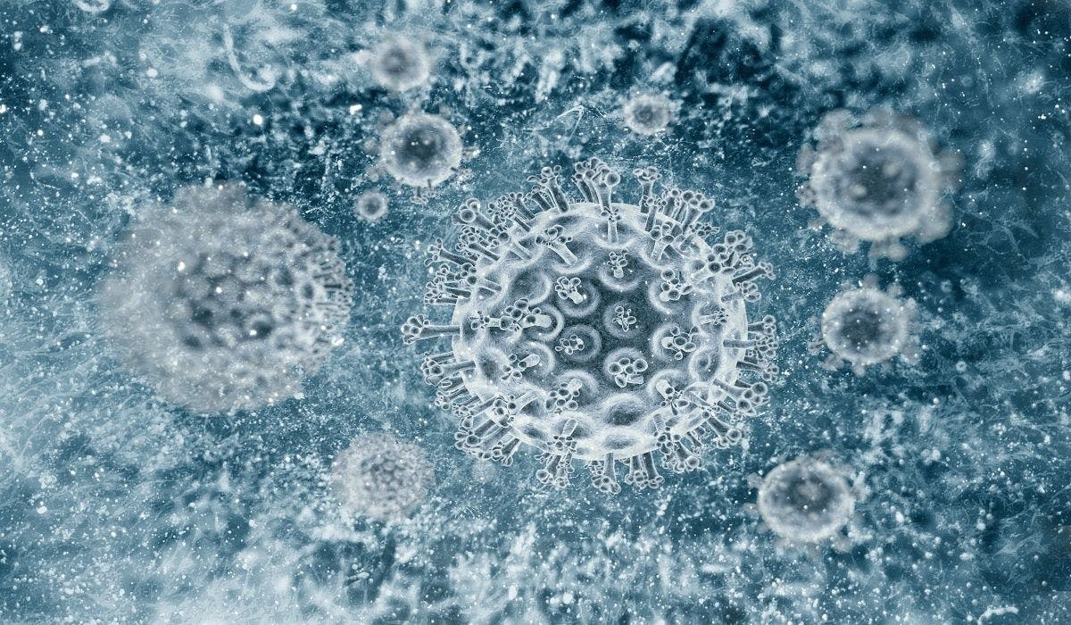 Image of hepatitis virus
