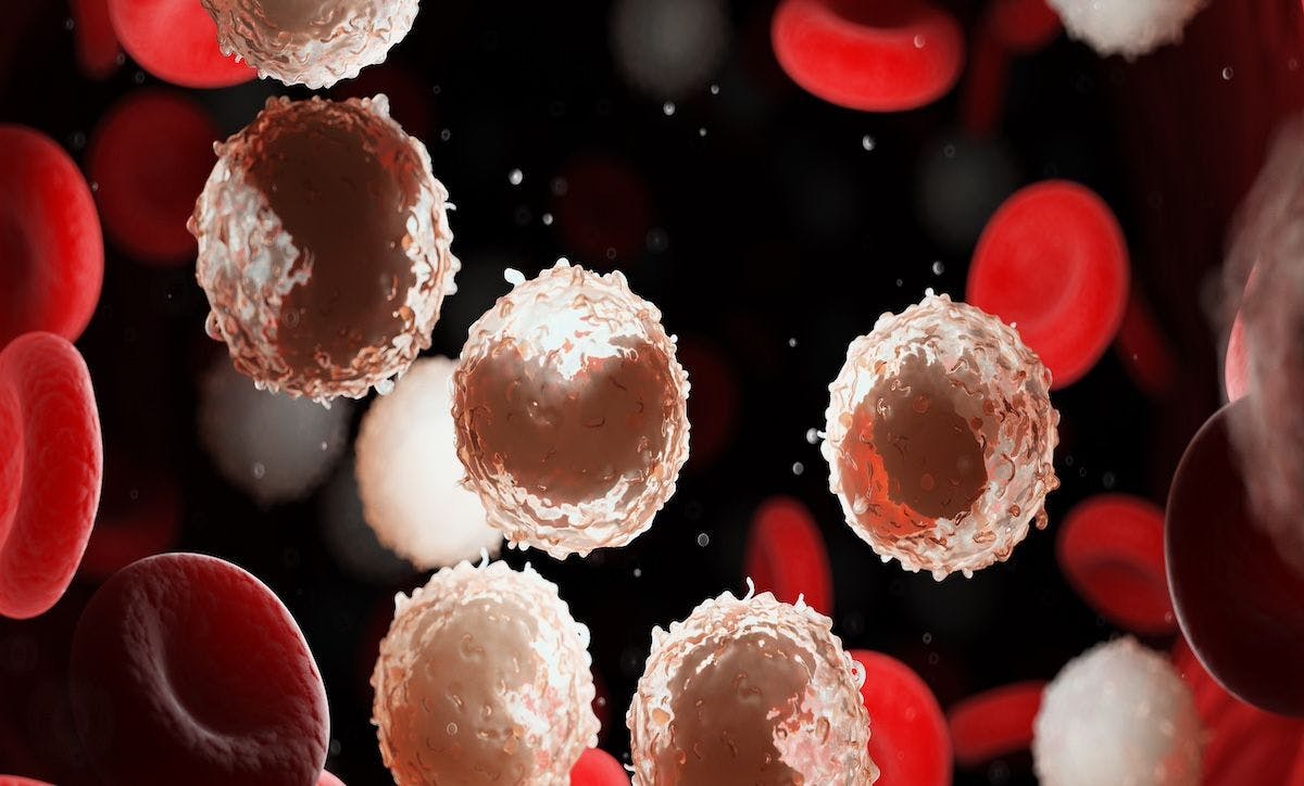 White blood cells from leukemia | Image Credit: SebastianKaulitzki - stock.adobe.com
