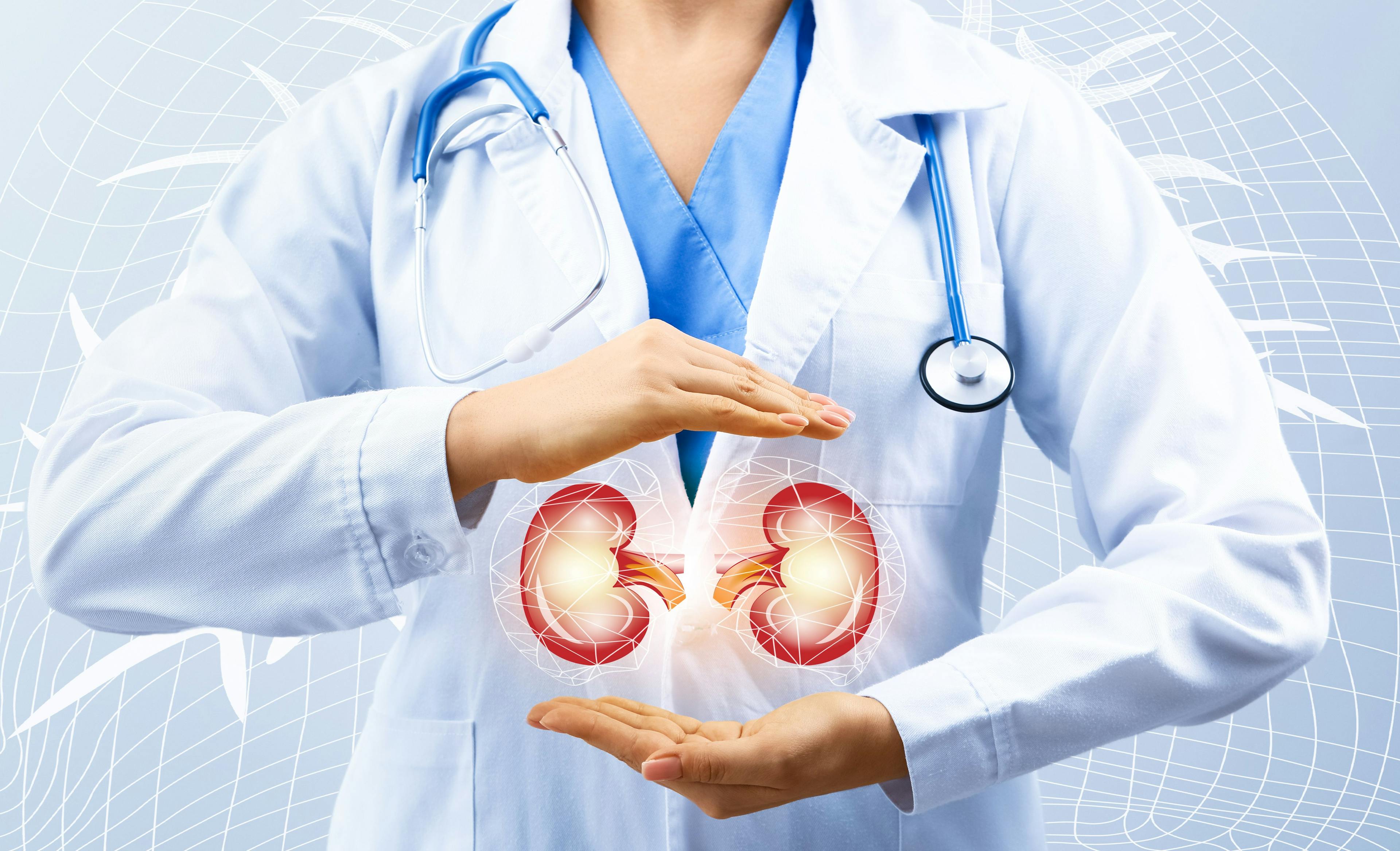 Clinician Presenting Kidneys | image credit: Pixel-Shot - stock.adobe.com