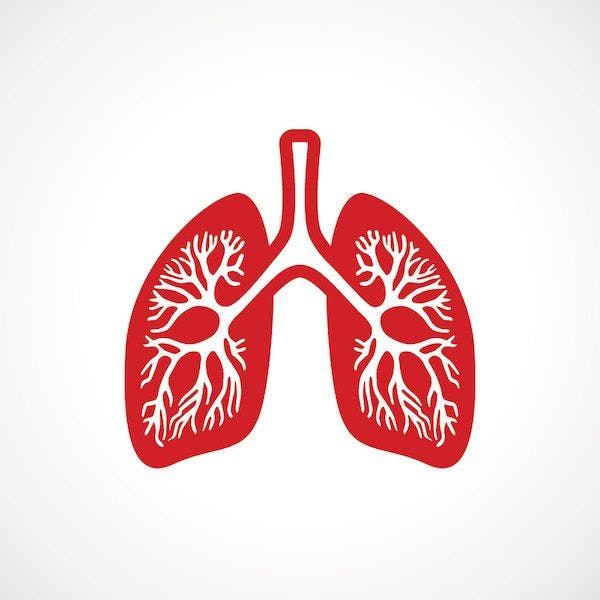 Lung graphic