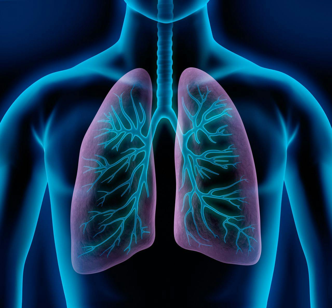 Understanding Early Predictors of Mortality in COPD