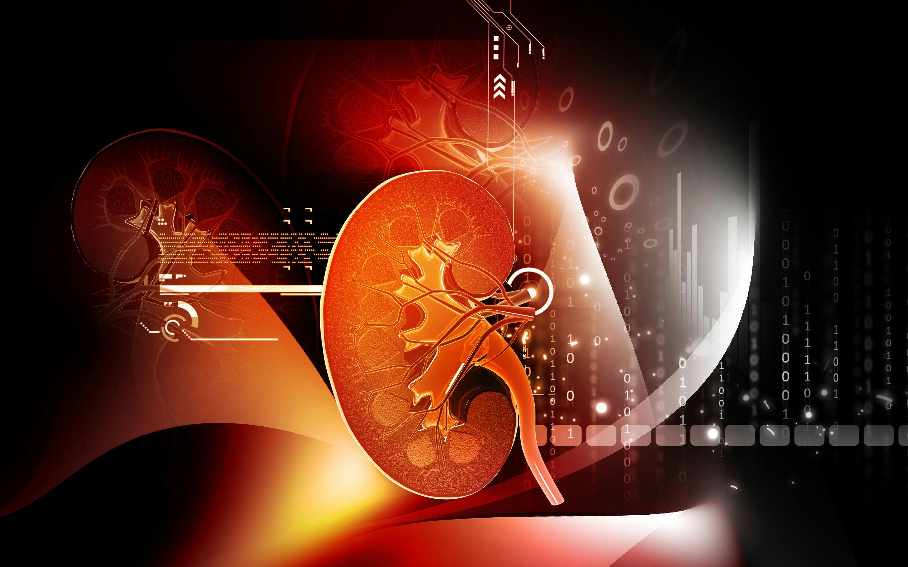 model of a kidney over a complex red background