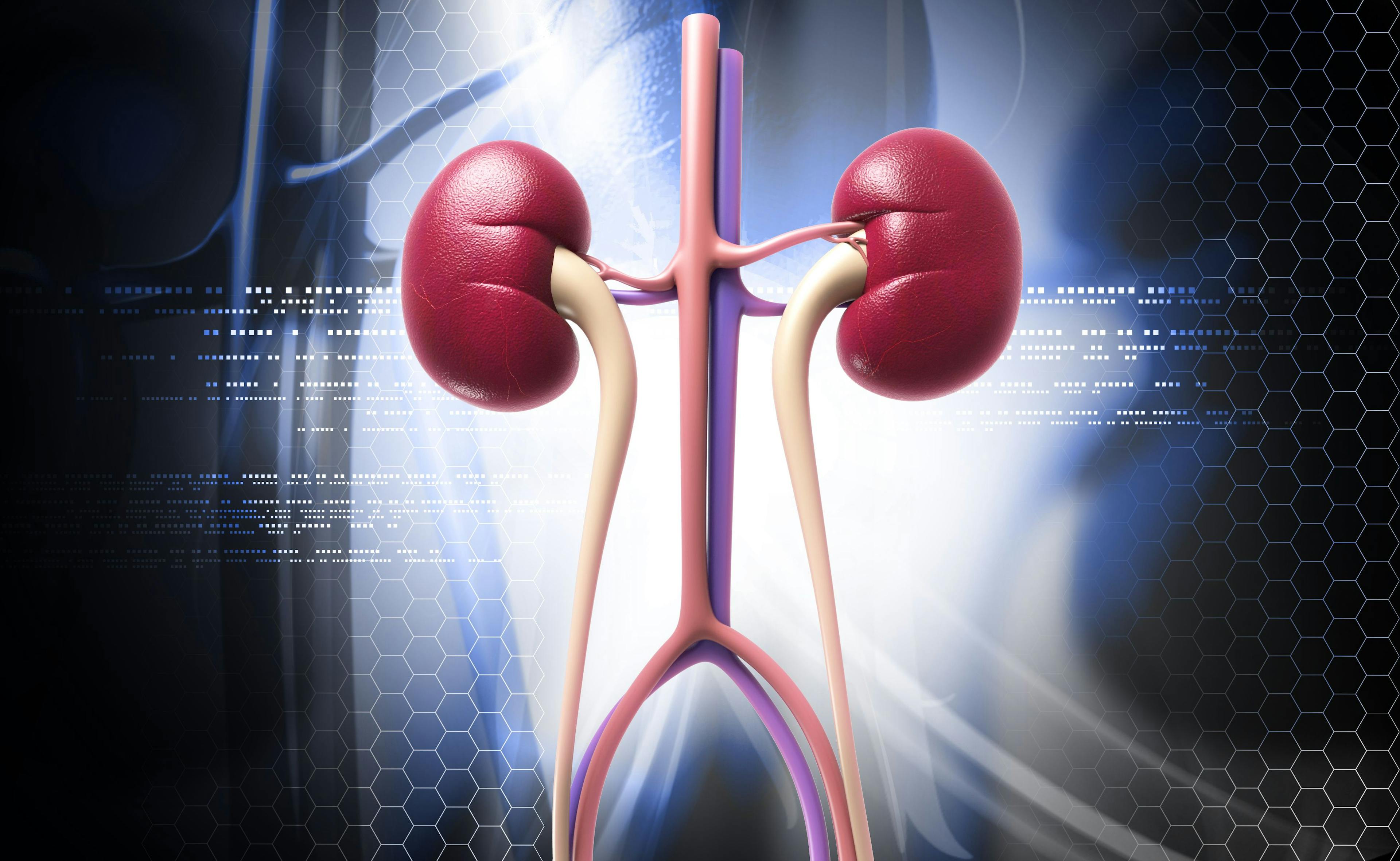 computerized image of kidneys
