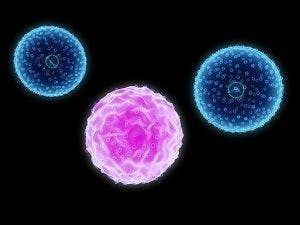 image of leukemia cell