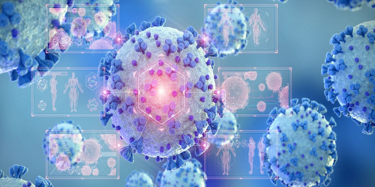 Microscopic close-up of the covid-19 disease. Coronavirus illness spreading in body cell. 2019-nCoV analysis on microscope level 3D rendering: © sdecoret - stock.adobe.com