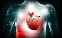 Comorbidity Burden for HFpEF, HFrEF on the Rise Among Women and Men