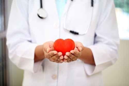 Image of cardiologist holding a heart
