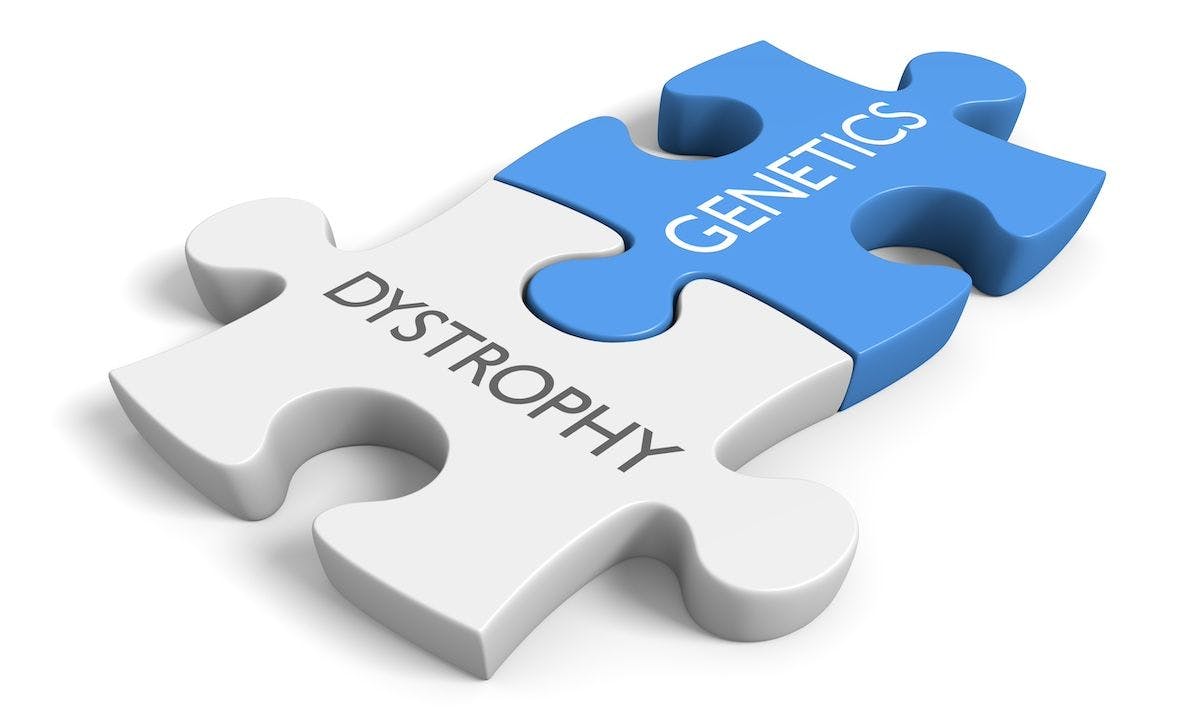 Link between genetics and various dystrophy disorders | Image Credit: David Carillet - stock.adobe.com
