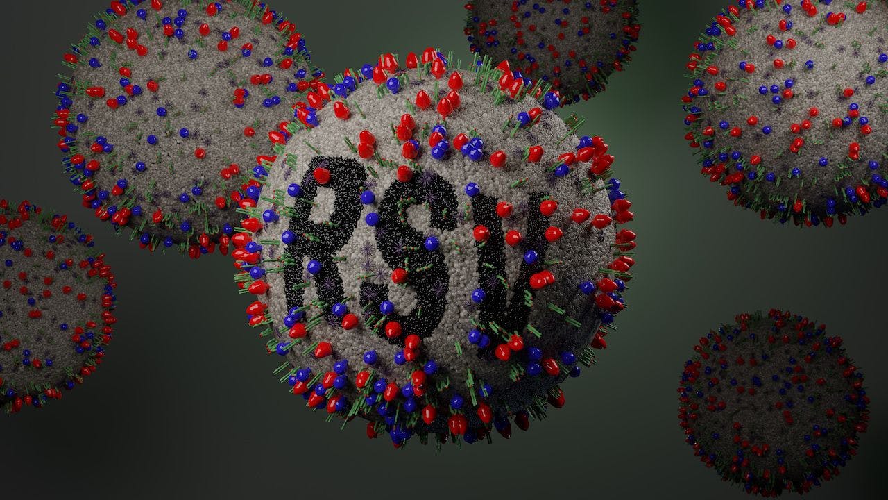 Image of RSV virus. Photo credit: Peter Hansen - stock.adobe.com 