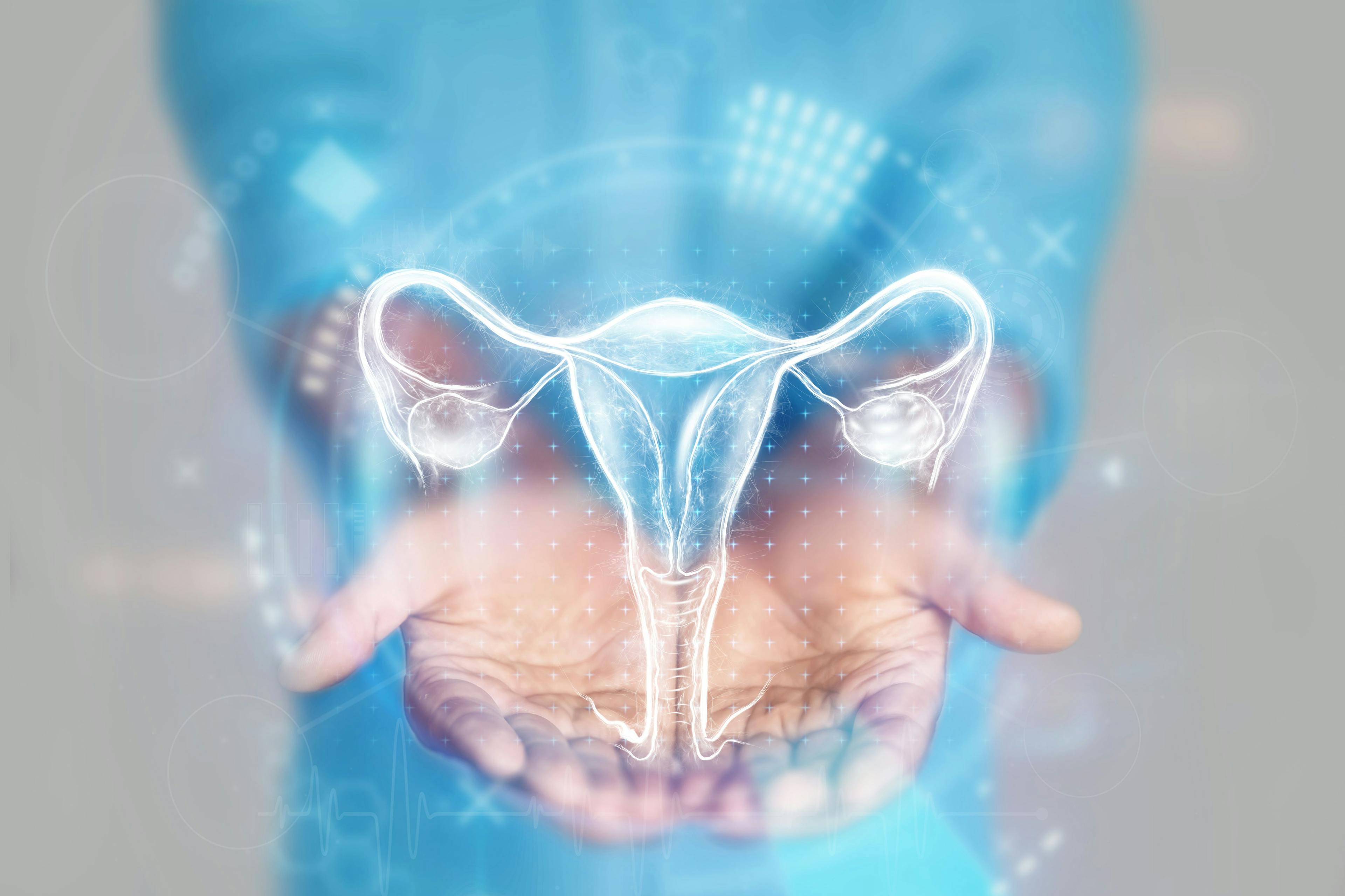 Hologram of female reproductive system | Image Credit: Aliaksandr Marko – stock.adobe.com