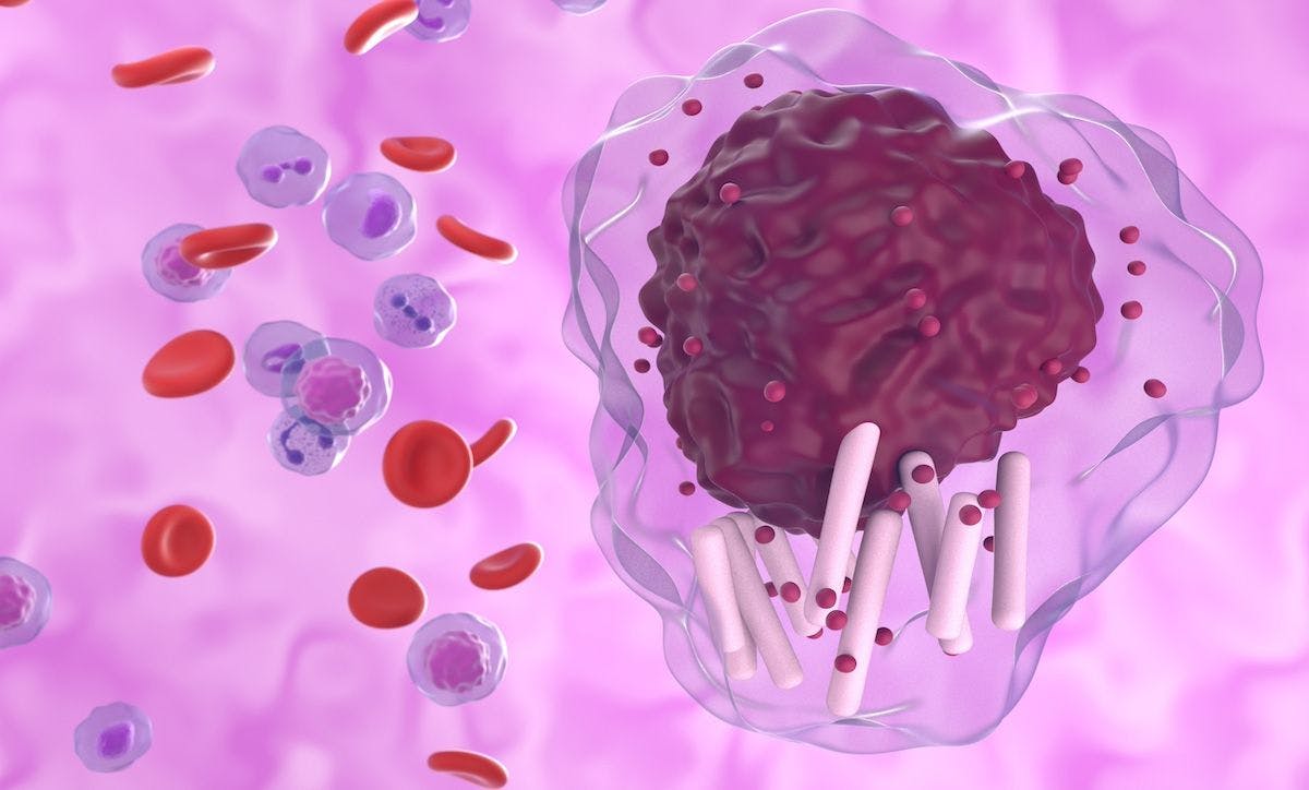 CLL cell in blood flow | Image Credit: laszlo - stock.adobe.com