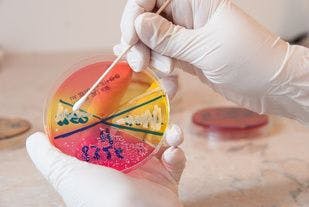 Slow Uptake Among Physicians of Effective Antibiotics to Treat Superbugs