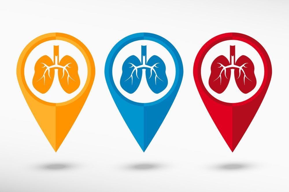 Colorful lung graphic