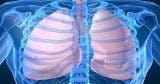 Study Probes How Severe Asthma Might Develop Through Allergic Inflammation 