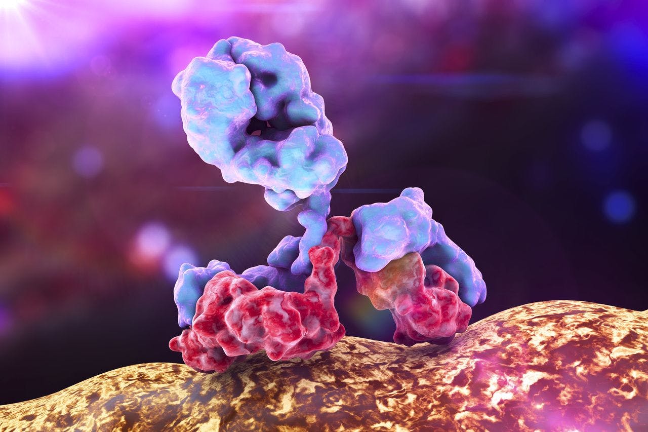 Enhanced image of a monoclonal antibody