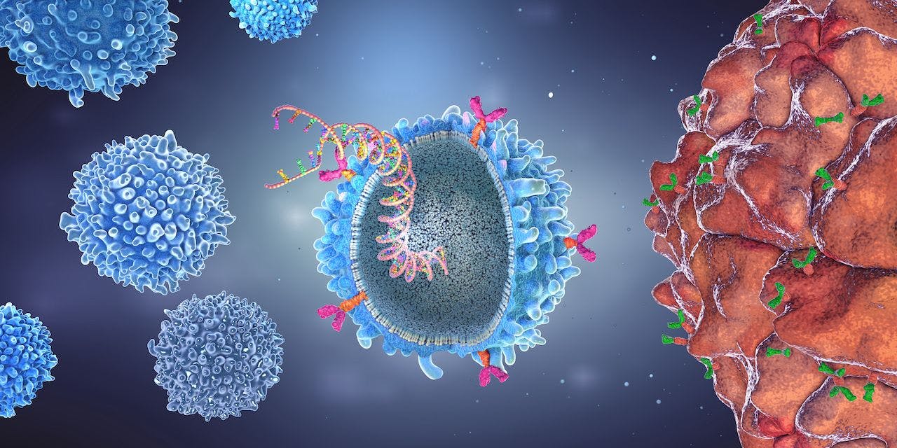 Genetically engineered chimeric antigen receptor immune cell with implanted gene strain - 3d illustration: © Christoph Burgstedt - stock.adobe.com
