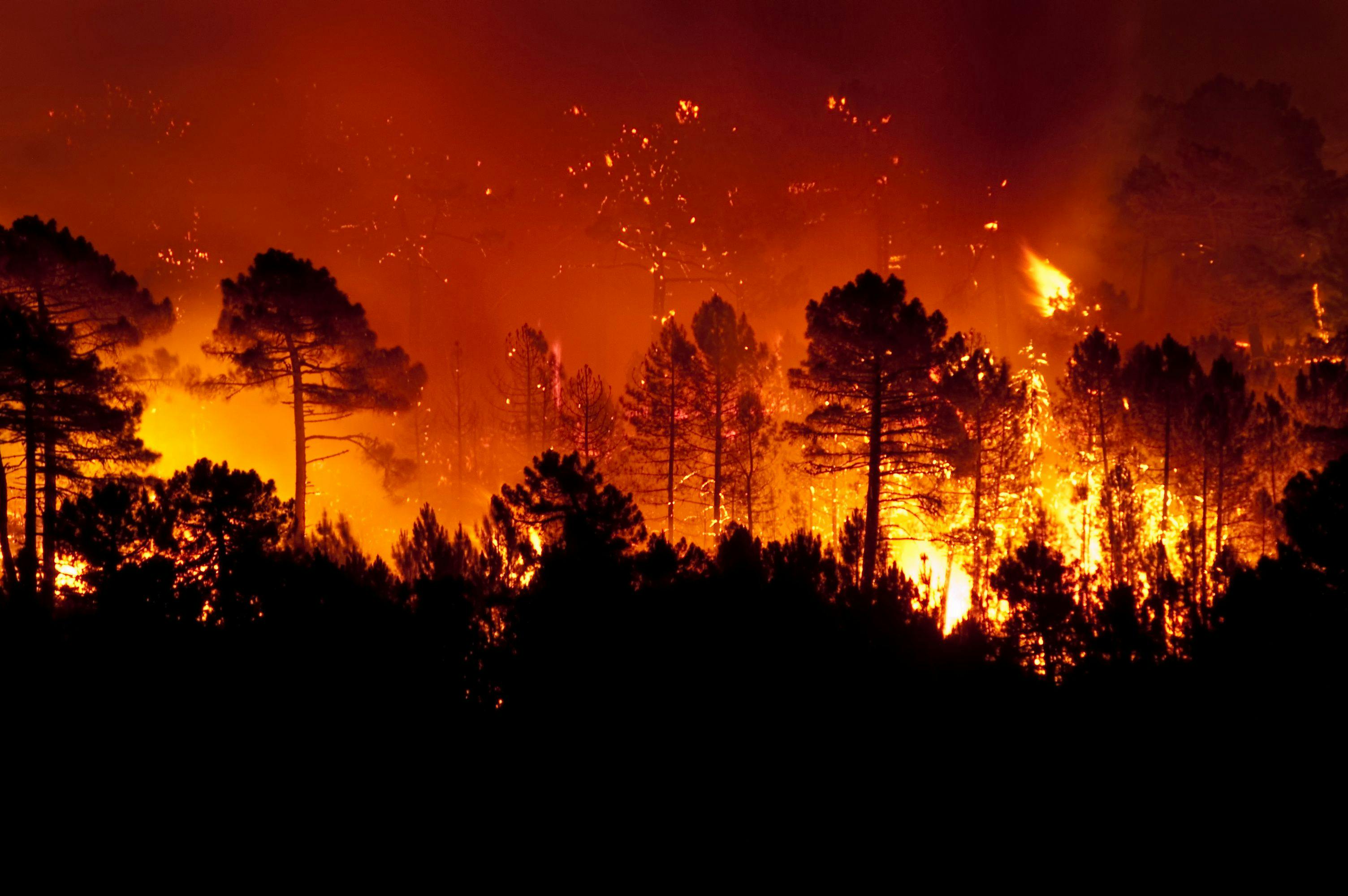 Wildfires | Image Credit: JAH - stock.adobe.com