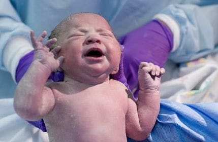 Photo of newborn child