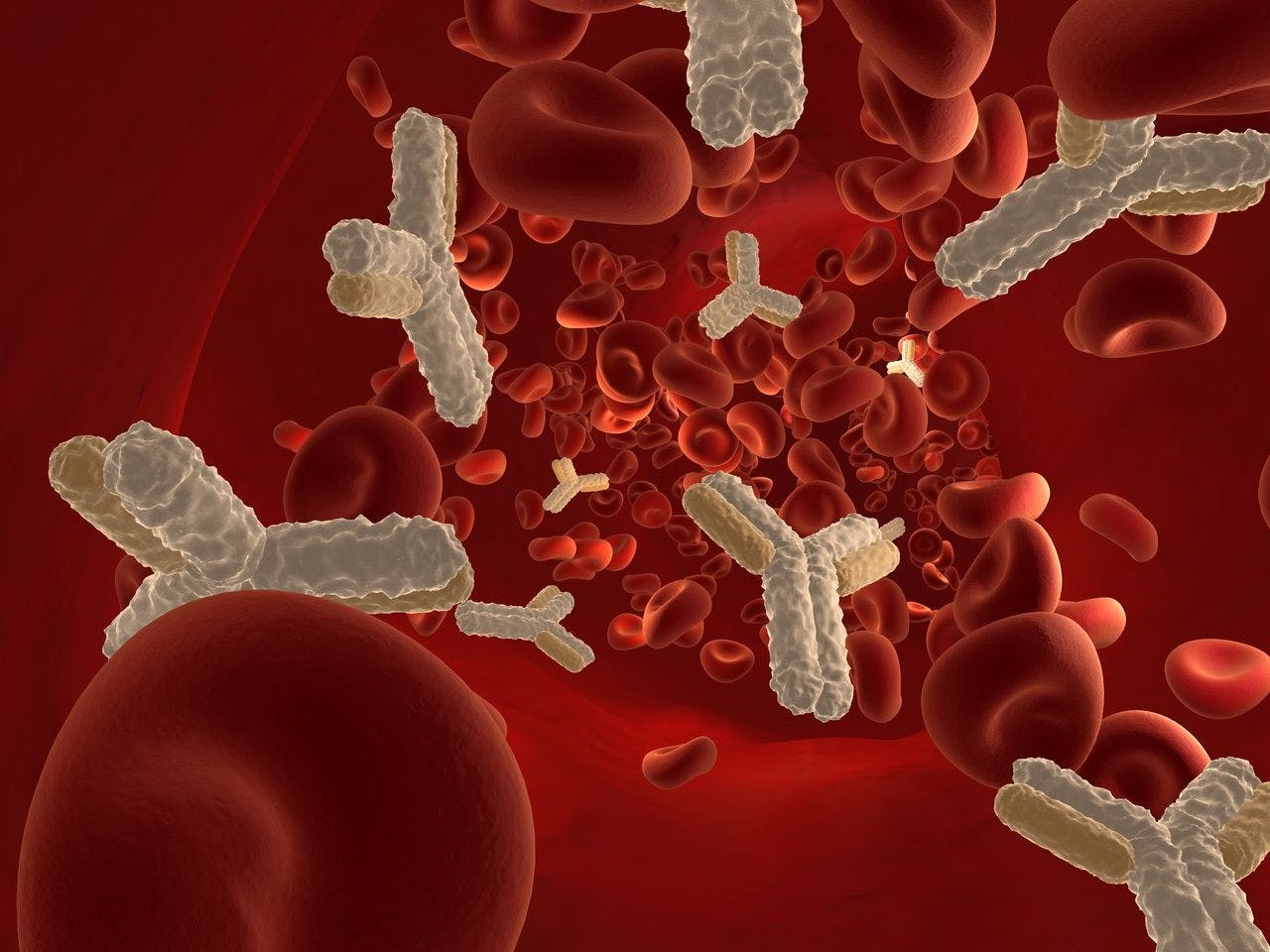 Antibodies in bloodstream
