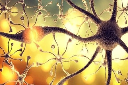 Using Serum Neurofilament Light Chains as a Biomarker of MS Disease Activity