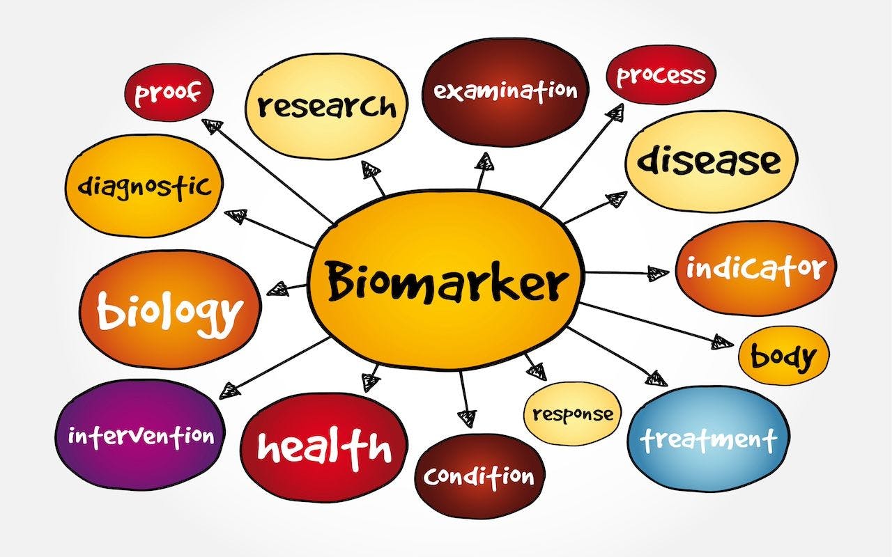 Biomarker concept | Image credit: dizain - stock.adobe.com