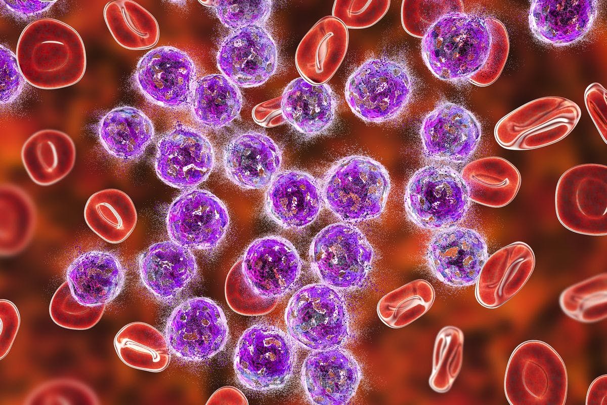 Blood cells and leukemia