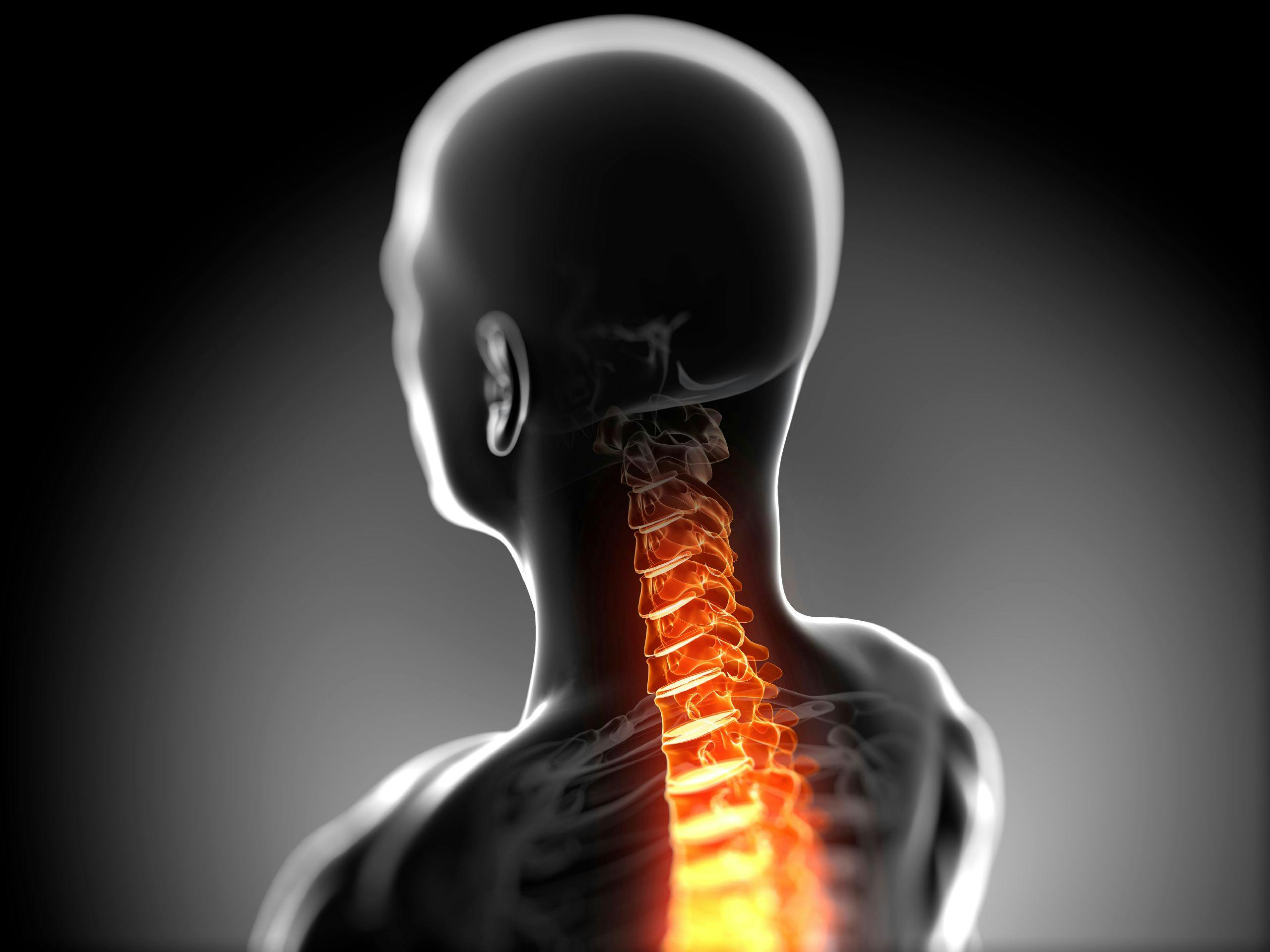 spine graphic