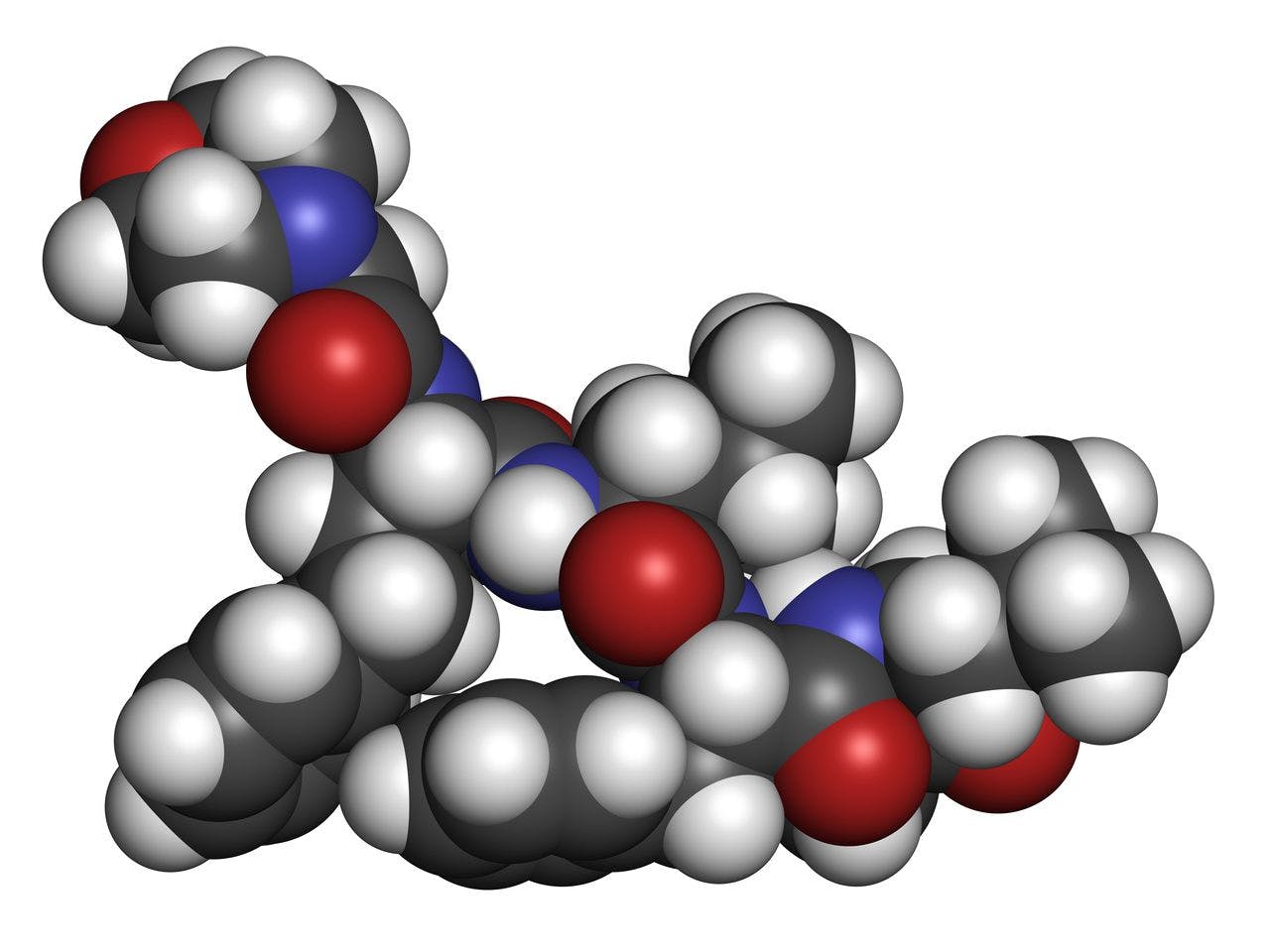 Carfilzomib molecule