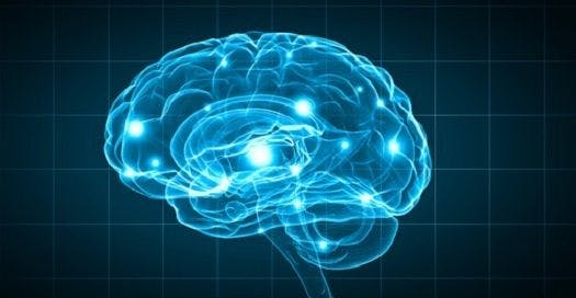 Study Suggests Brain Tissue Iron May Track Cognitive Involvement in Parkinson