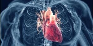 Image of cardiovascular health