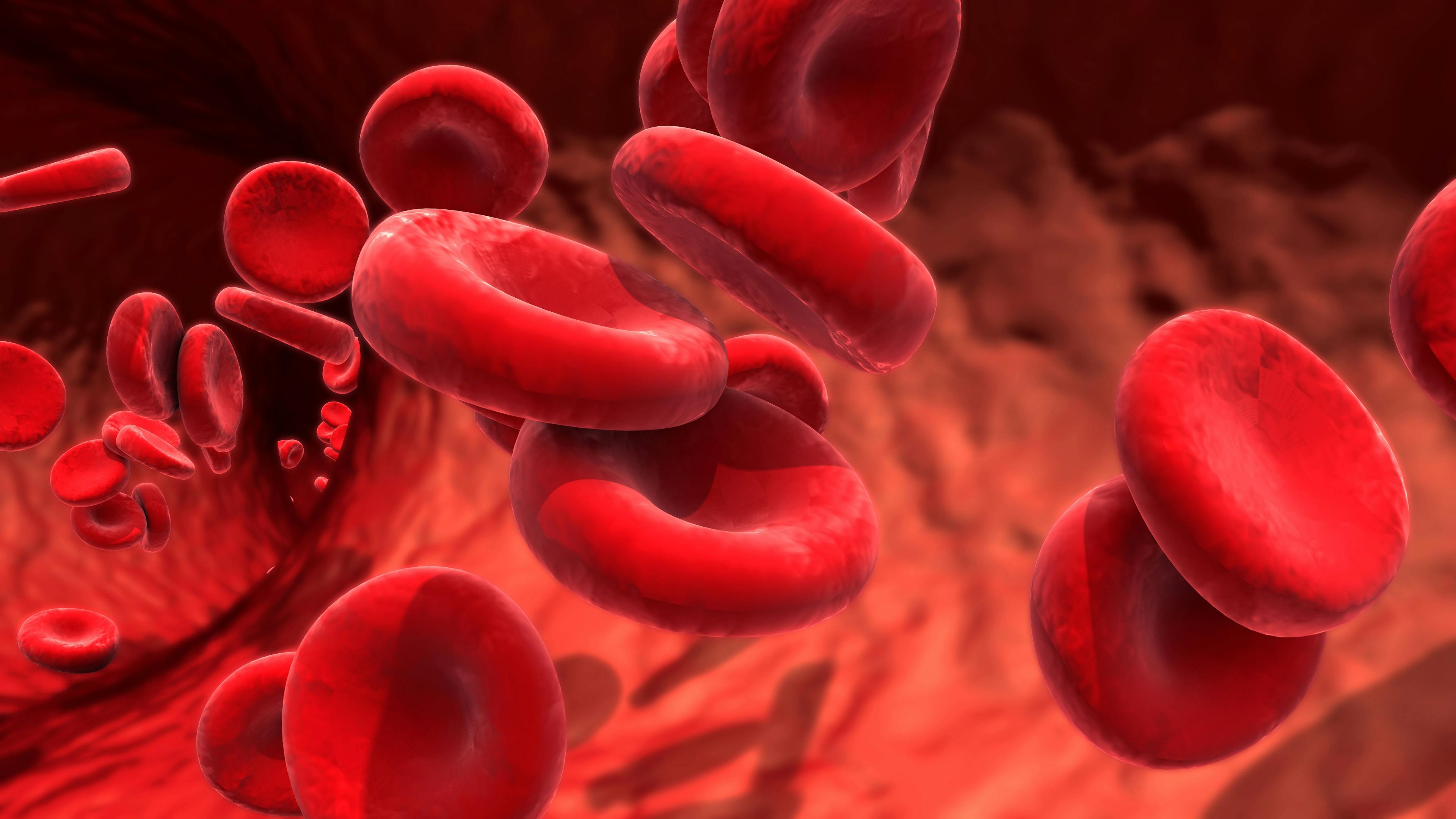 Red Blood Cells - Design Cells stock.adobe.com