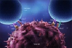 Cytokine "Backpacks" for T Cells Increase Immune Response in Solid Tumors