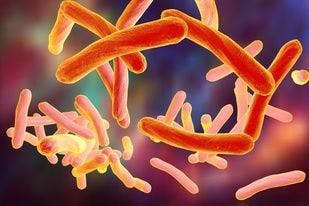 Nontuberculous Mycobacterial Lung Disease Doubled the Risk of Death in a Managed Care Population